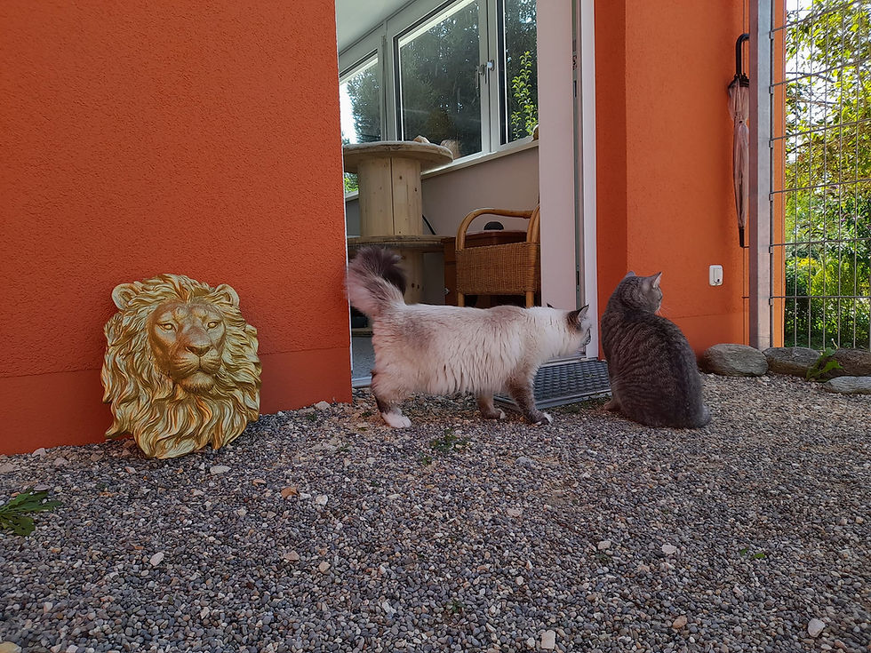 460484676_2517714595106392_259407990347507503_n