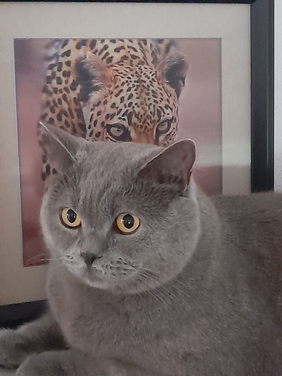 463795835_2552778994933285_8459549580765839672_n