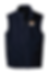 vest D1