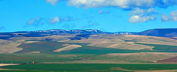 blue-mountains-1024x416_edited.jpg