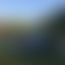 SCCK co-hosted European Network Night 2019 with ECCK