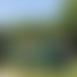 SCCK FinnCham Masters Golf Tournament at NewKorea CC