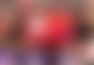 Tesseramento 2020 al Partito Animalista, Regalati la tessera del PAI per difendere gli indifesi