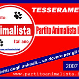 TESSERA_PAI_Davanti copia.jpg