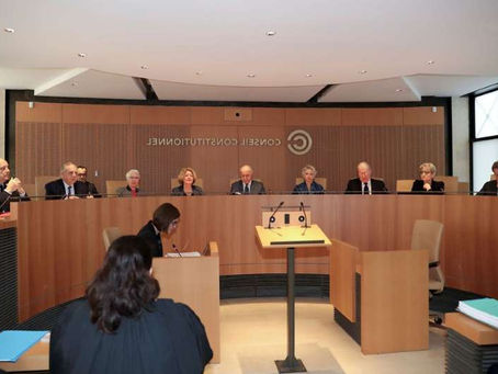 Europee 2019 in Francia: la Corte Costituzionale convalida la soglia del 5%, fuori gli animalisti