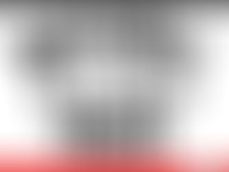 Elezioni Regionali 2020 del Partito Animalista: Aperta la Partecipazione ai Comitati Elettorali