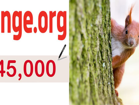 La Petizione Mondiale della Animals Polics EU arriva a 45.000 firme, CONTINUIAMO A FIRMARE !!