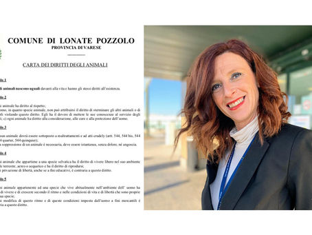 Comunicato Stampa: Approvato lo storico regolamento comunale per gli animali, grazie alla Bighetti