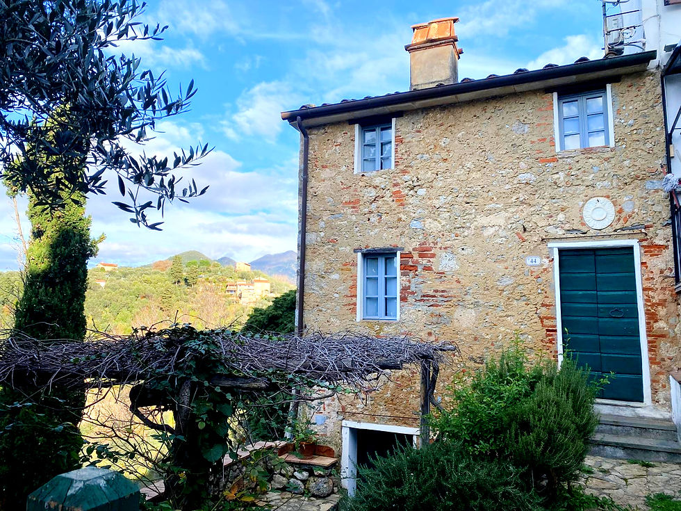 Steinhaus mit grüner Tür, umgeben von Natur. Ein Baum und Sträucher im Vordergrund. Blauer Himmel und Berge im Hintergrund. Nummer 44 sichtbar. Das Haus befindet sich in Sabta Lucia Camaoire in der Versilia nördlichen Toskana zudem eine perfekte Immobilie in Italien