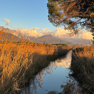 Marinella di Sarzana Spatziergang in der Natur