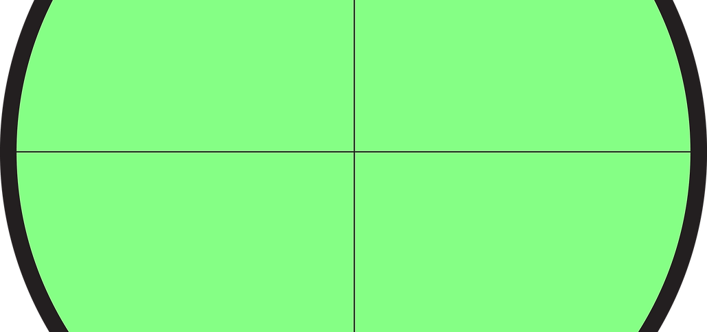 RE-AIM_green background