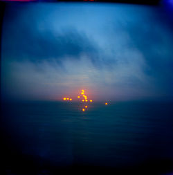 עלמה שניאור