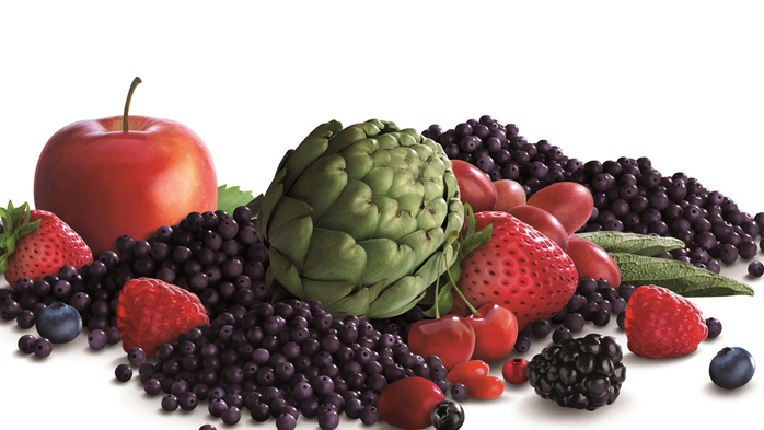 MAQUI PLUS+Multi Fruits & Berries Concentrate Drink