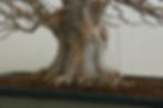 February 2024 (detail)