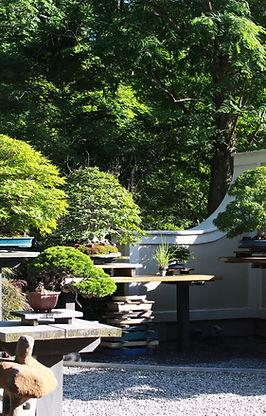 GARDEN | m5bonsaiworks