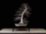 March 2021