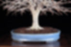 November 2022 (detail)
