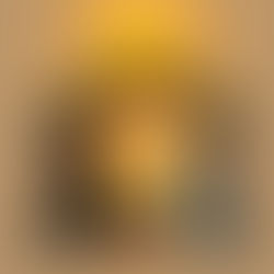 Do You See What I See?