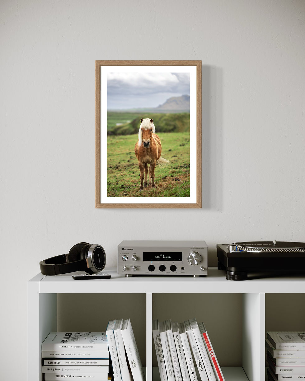 Thumbnail: Icelandic Horse