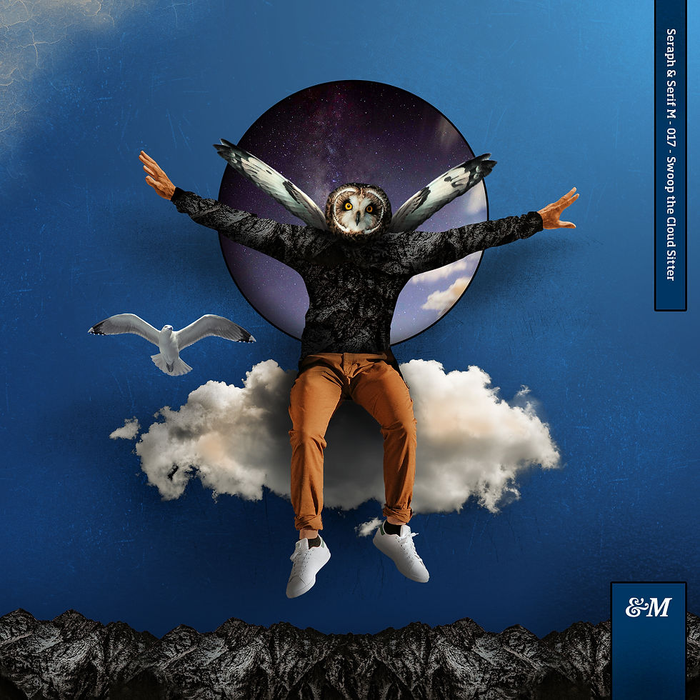 &M017 Swoop the Cloud Sitter