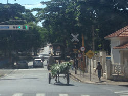 Passagem pela Rua Bernardino