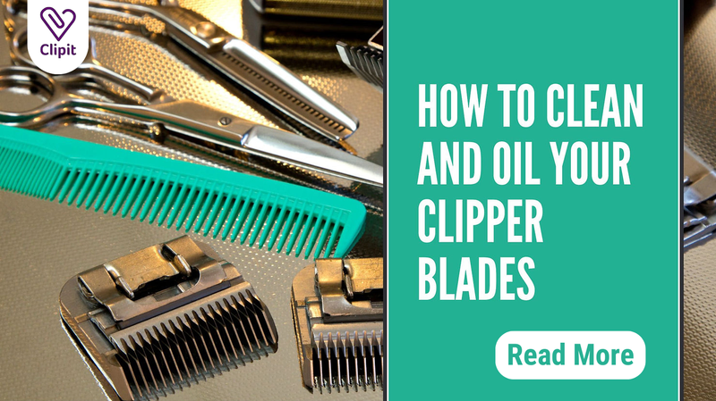 The Groomer’s Guide to Blade Care teaches dog groomers how to clean clipper blades properly, prevent overheating, and extend blade life with oiling and simple maintenance steps.