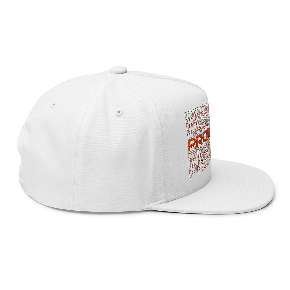 Thumbnail: Double Vision Embroidered Flat Bill Snapback