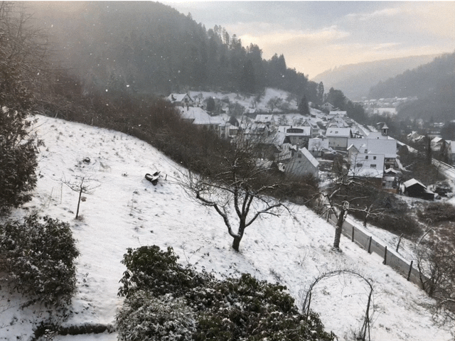 Ferienhaus Waldglück im Schwarzwald im Winter