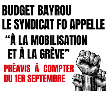 Magali Budget préavis de grève .png