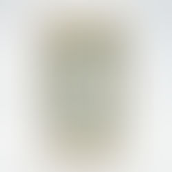 Rice and risottos. Which one to choose?