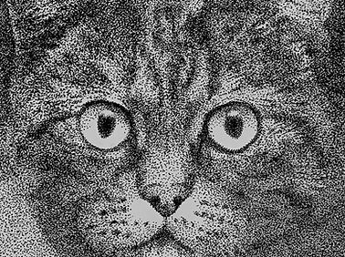 IMG_4052.jpeg