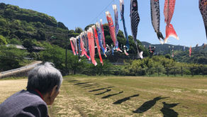 こいのぼりを見に行ってきました！