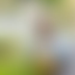 You're Home project update