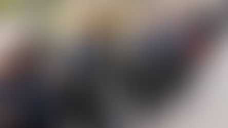 Effects of Unemployment