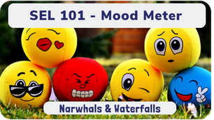 SEL 101 - Mood Meter