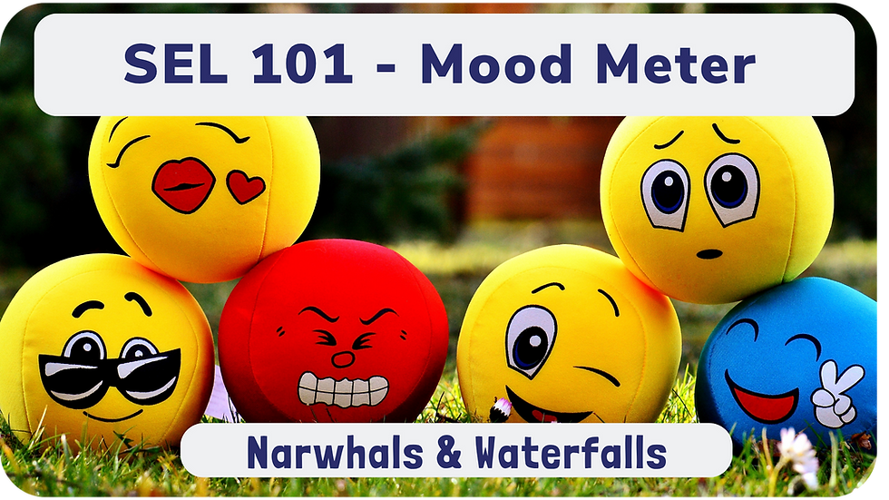 SEL 101 - Mood Meter