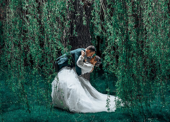 Photo de mariage d'un couple sous un grand saule pleureur