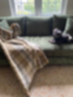 Sofa, puppy, plaid loveliness