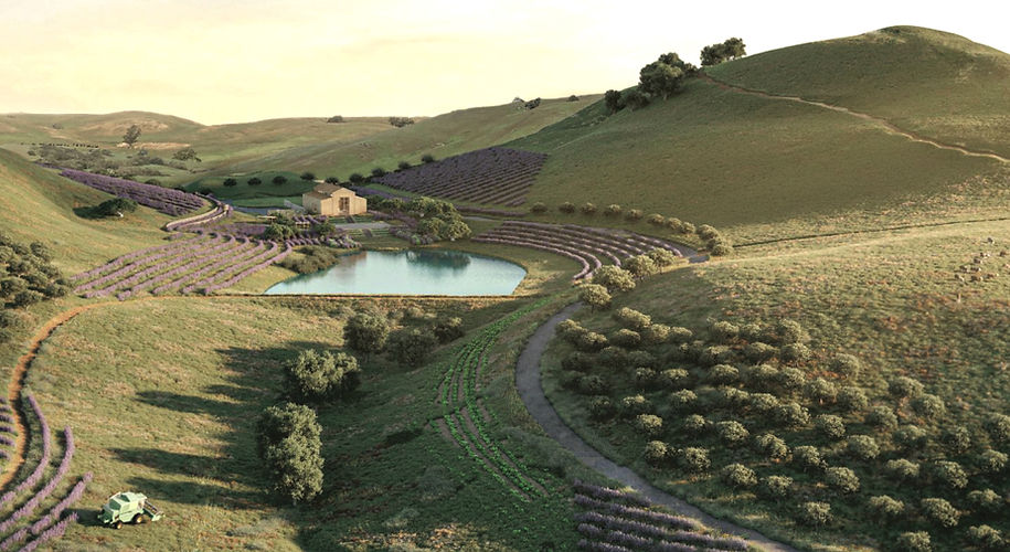 Villa Vanto Lavender Farm