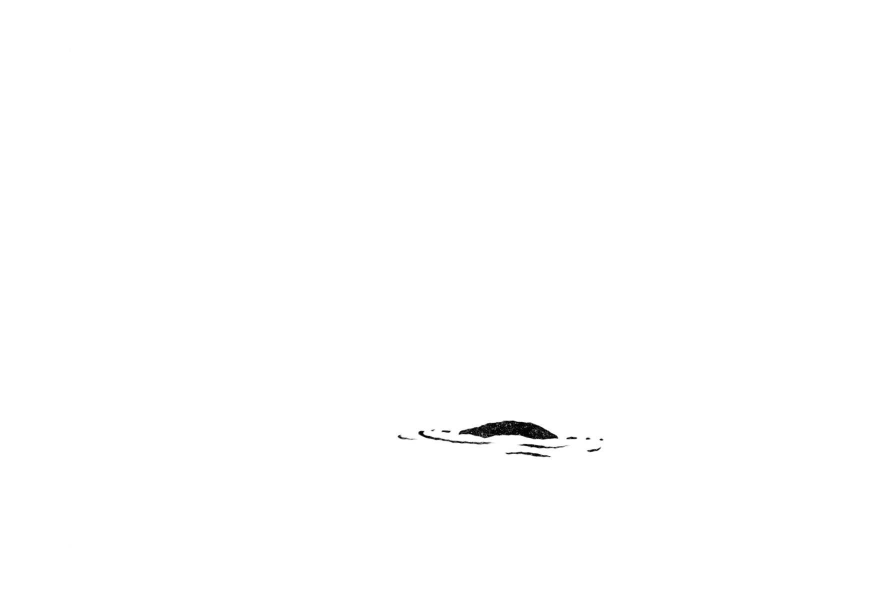 tail-of-the-whale-gif.gif