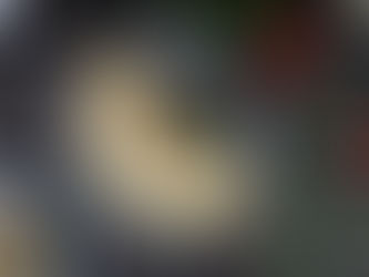 Les plats à absolument tester lors de vos voyages : découvrez de nouvelles saveurs culinaires