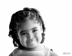 _DSC0519