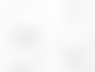 INITIAL IDEAS "SAVITRI"