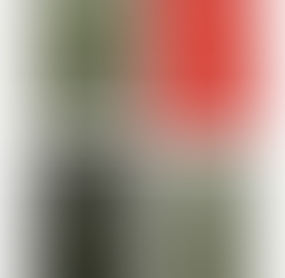 DEVELOPMENT "THE WANDERING SCHOLAR"