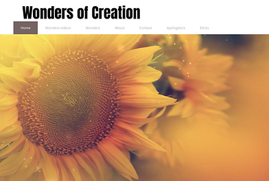 Theology Education Website