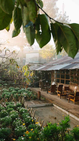 Morning light over Túi Mơ To Café with leafy branches in the foreground and a cozy garden seating area below.