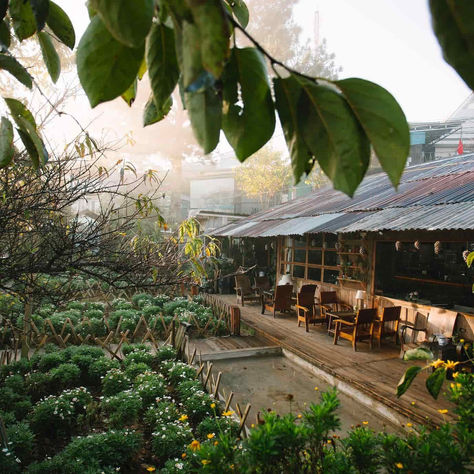 Morning light over Túi Mơ To Café with leafy branches in the foreground and a cozy garden seating area below.