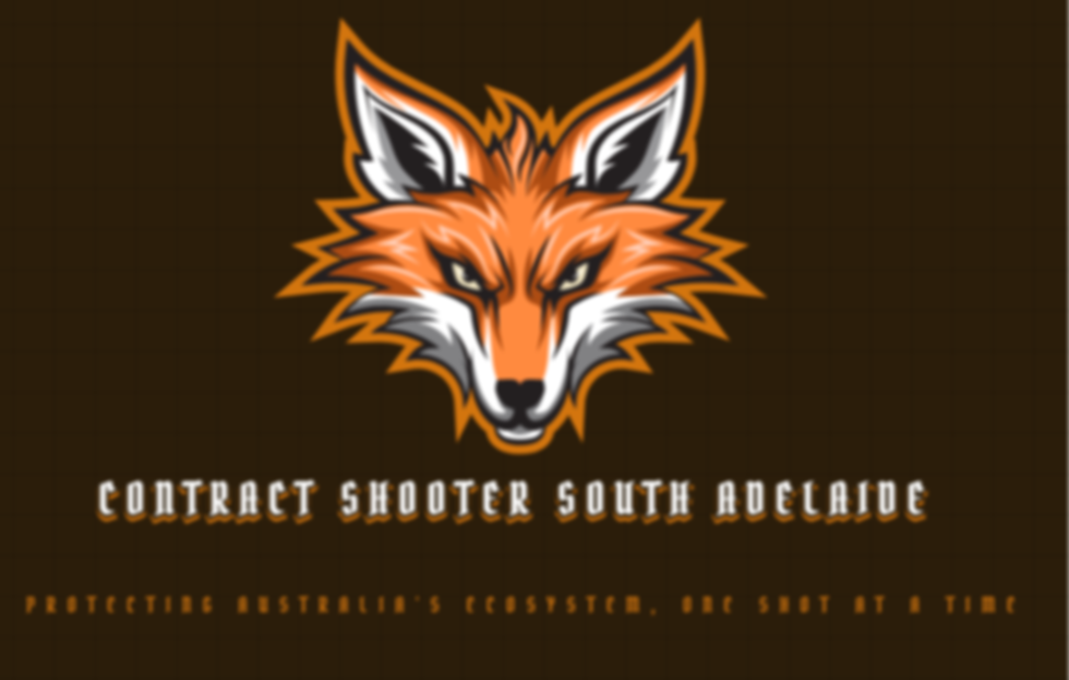 Screenshot 2025-03-15 183246.png