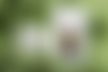 지속 가능 포장을 위한 10가지 제안