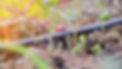 London irrigation installation company